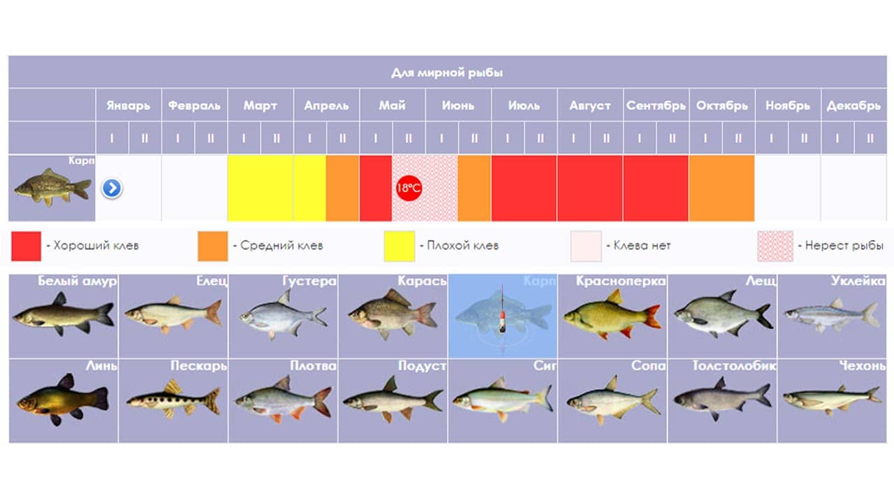 Календарь рыболова на год по дням и месяцам