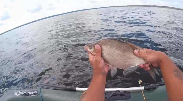 Снасти для ловли леща с лодки, описание, оснастка, советы