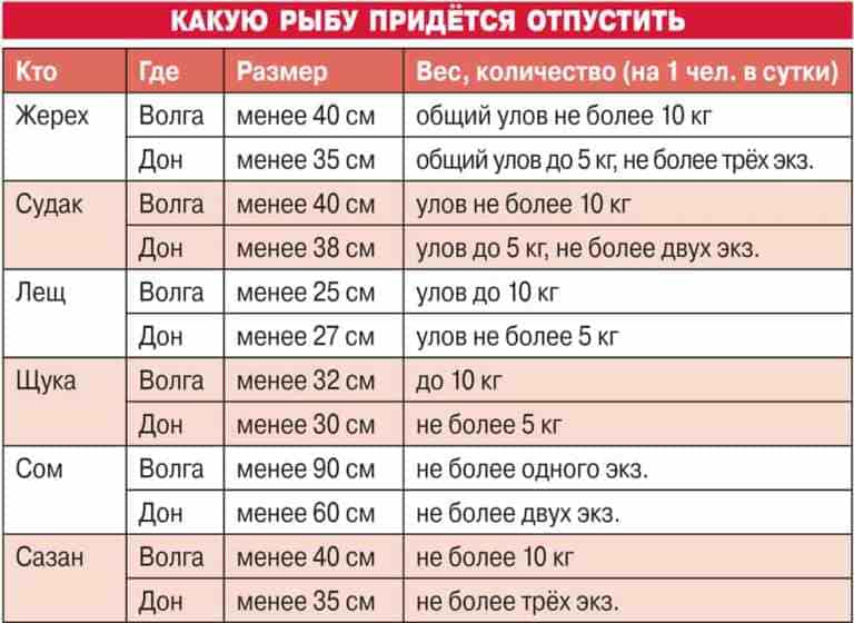 Когда можно ловить с лодки с какого числа 2023