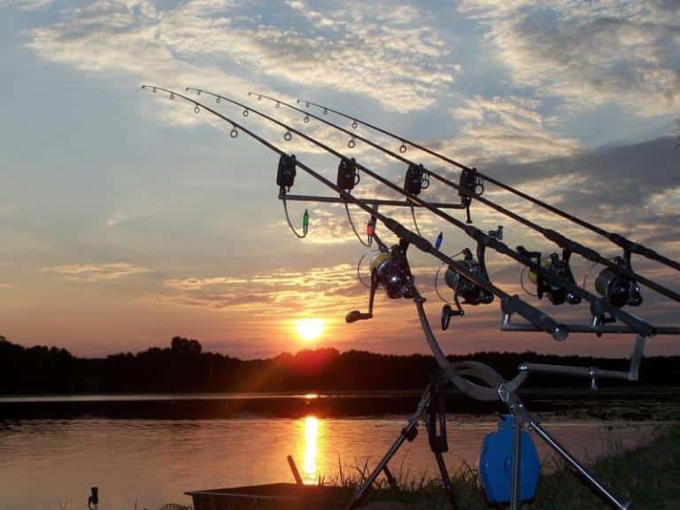 Тест карповых удилищ в граммах 3 lb телескопические, таблица