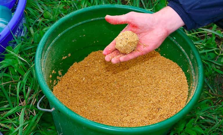 Почему не клюет рыба: окунь, щука, карась, причины плохого клева