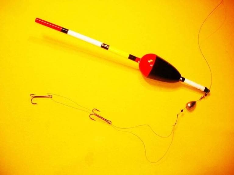 Ловля щуки с берега на спиннинг, живца, удочку, летом и осенью