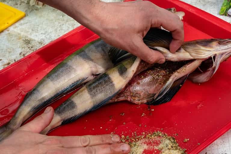 Терпуг что за рыба - как готовить, среда обитания, отзывы, польза