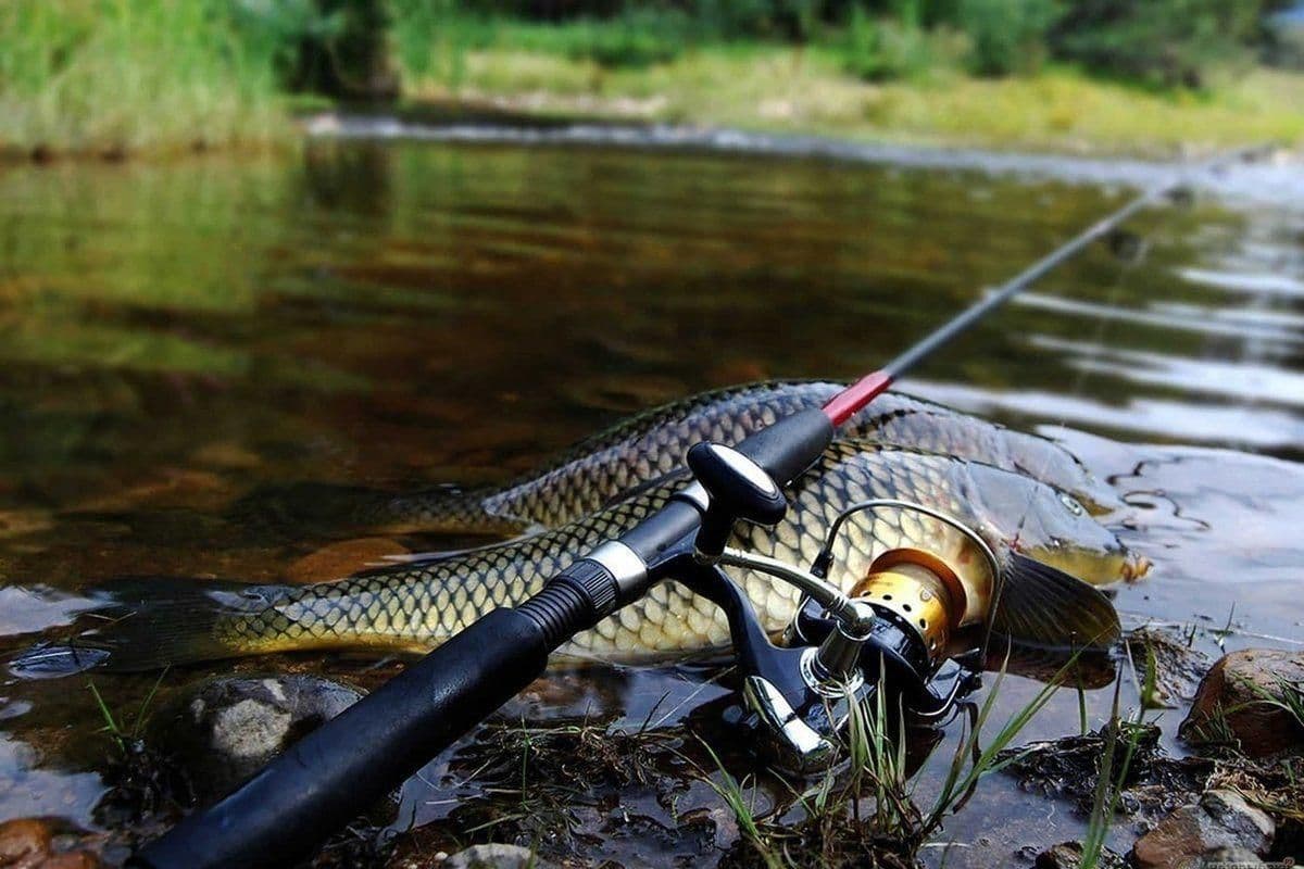 Календарь рыболова на год по дням и месяцам