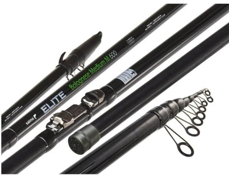 Рейтинг лучших болонских удилищ ТОП 10