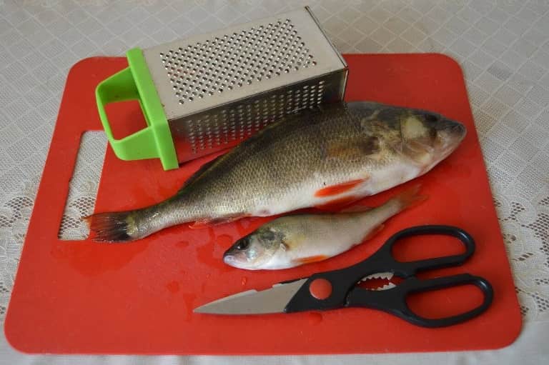 Как быстро почистить окуня от чешуи в домашних условиях