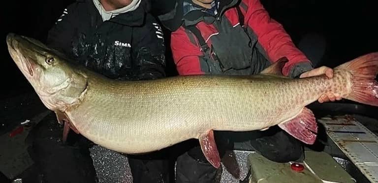 Самая большая пойманная щука в мире и в России – фото и вес