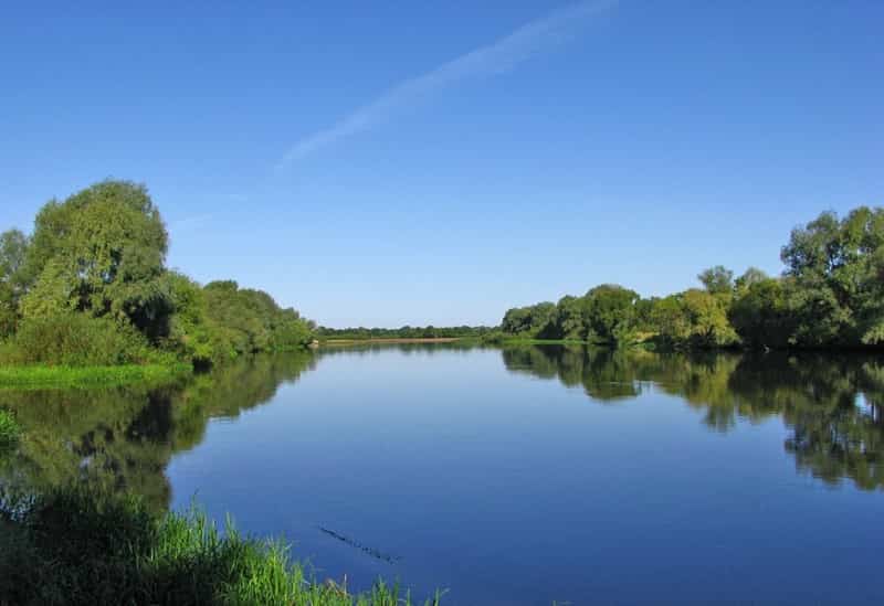 Уровень воды в реке Сож сегодня