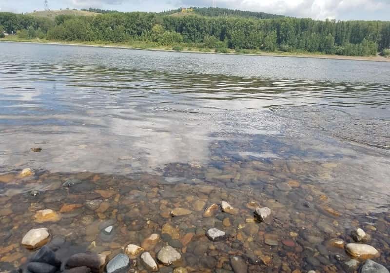 Уровень воды в Томи в Новокузнецке онлайн веб график