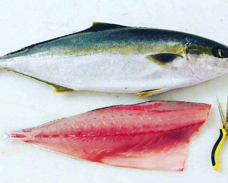 Что за рыба лакедра – как готовить, рецепты, отзывы, фото желтохвоста