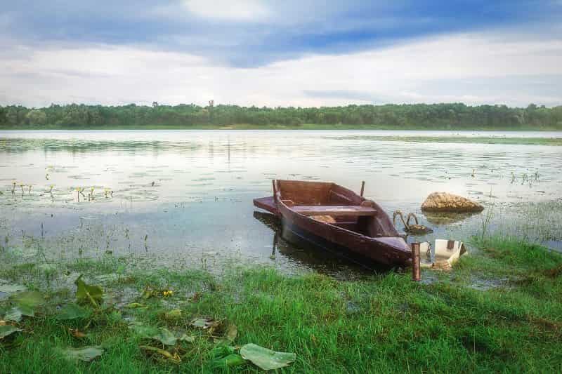 Уровень воды в реке Сож сегодня