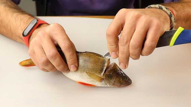 Как быстро почистить окуня от чешуи в домашних условиях