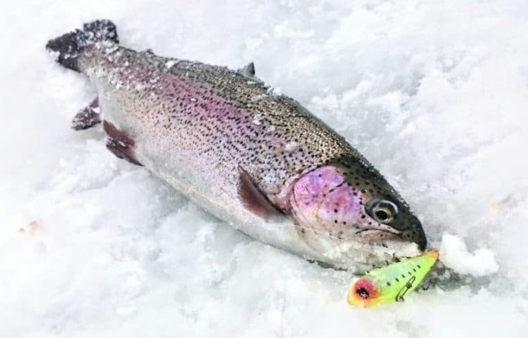 Ловля зимой со льда леща, судака, карася, окуня, рыбалка