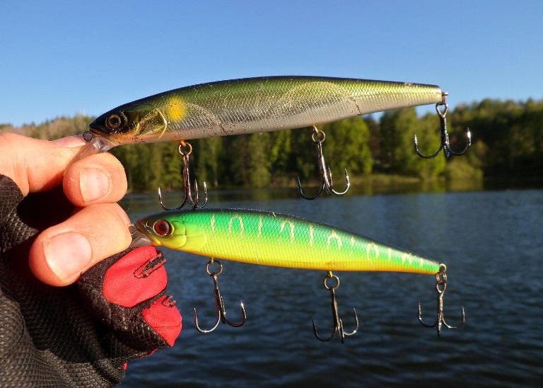 Ловля щуки с берега на спиннинг, живца, удочку, летом и осенью