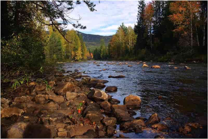 Уровень воды в Урале на сегодня