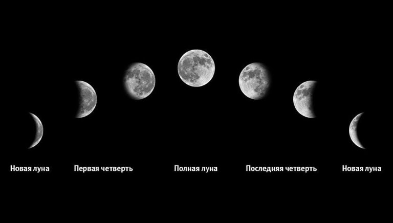 Почему не клюет рыба: окунь, щука, карась, причины плохого клева