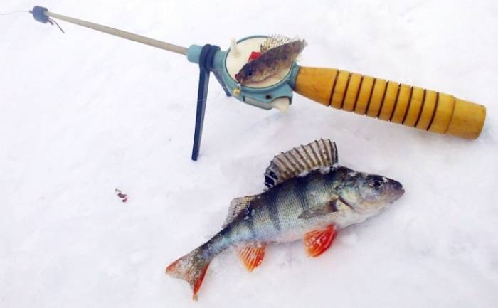 На что ловить маленького окуня, приманки и снасти