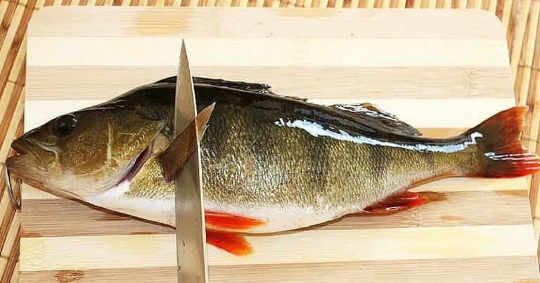 Как быстро почистить окуня от чешуи в домашних условиях