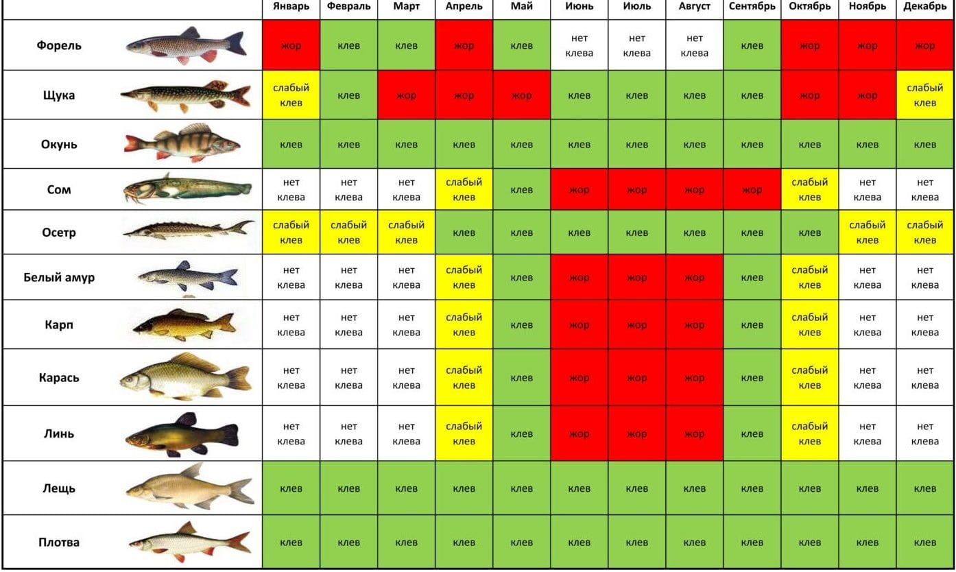 Календарь рыболова на год по дням и месяцам