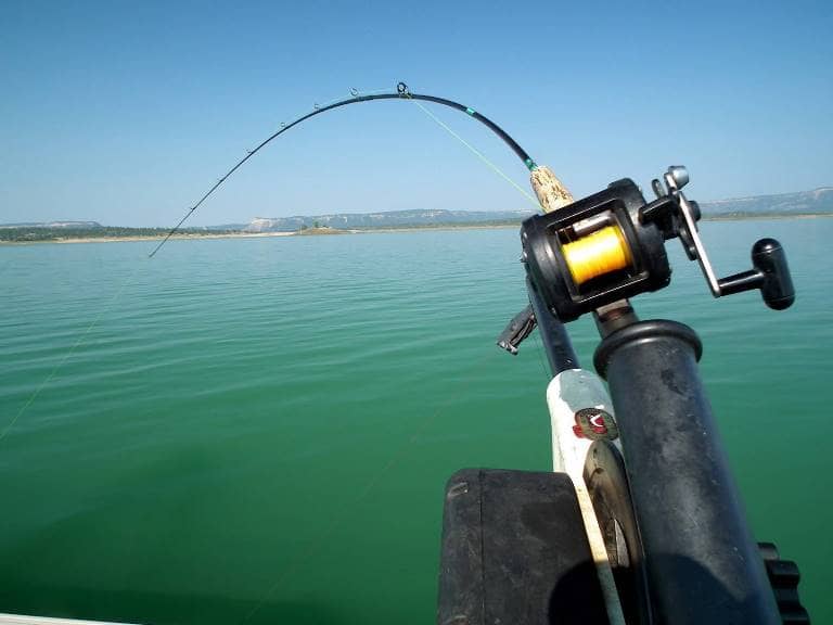 Троллинговая рыбалка для начинающих, техника ловли с лодки