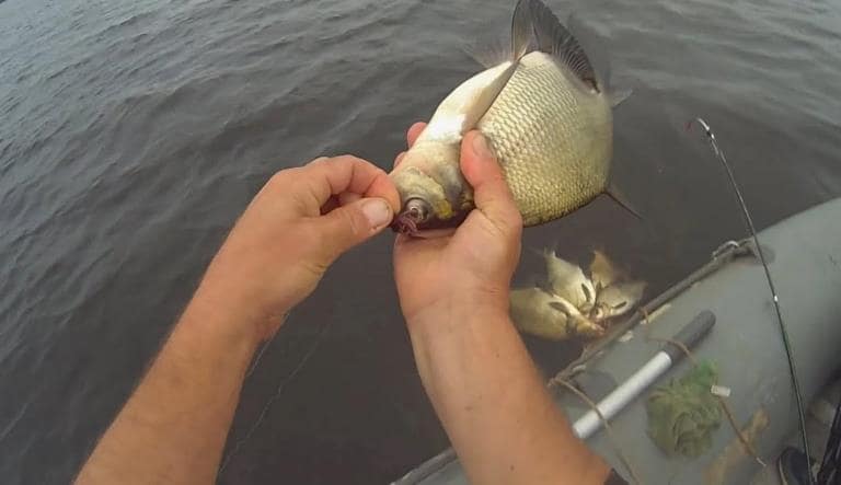 Снасти для ловли леща с лодки, описание, оснастка, советы