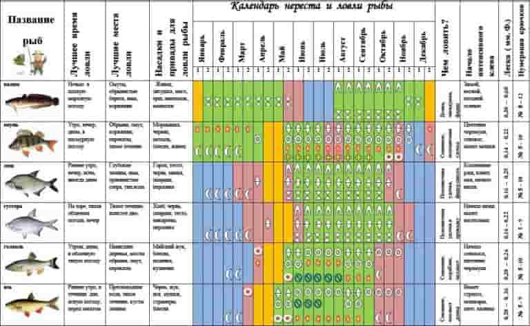 Подробный прогноз клева всех видов рыб на сегодня, завтра, 3 дня и 10 дней