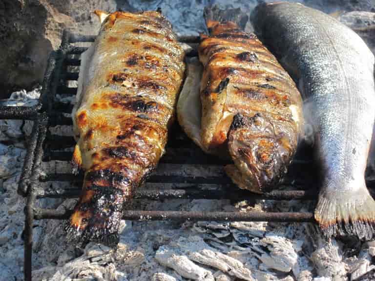 Белорыбица что за рыба, фото, рецепты, описание, польза