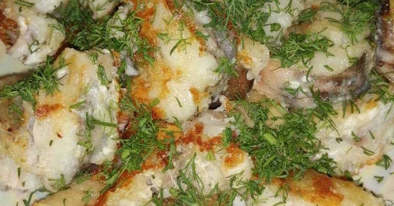 Что за рыба конгрио креветочная – как готовить, рецепты, отзывы, фото