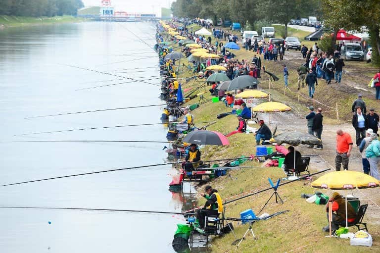 Почему не клюет рыба: окунь, щука, карась, причины плохого клева