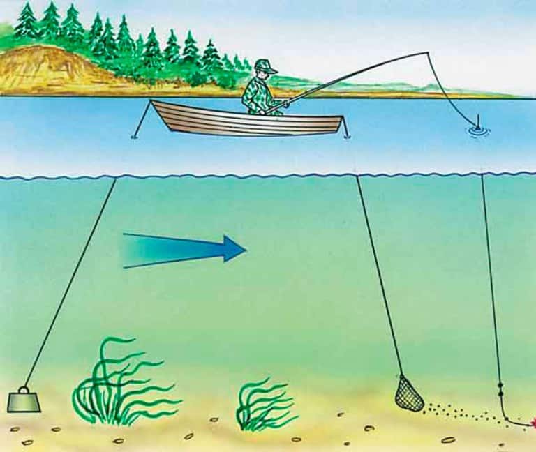 Ловля леща на течении снасти с берега и лодки