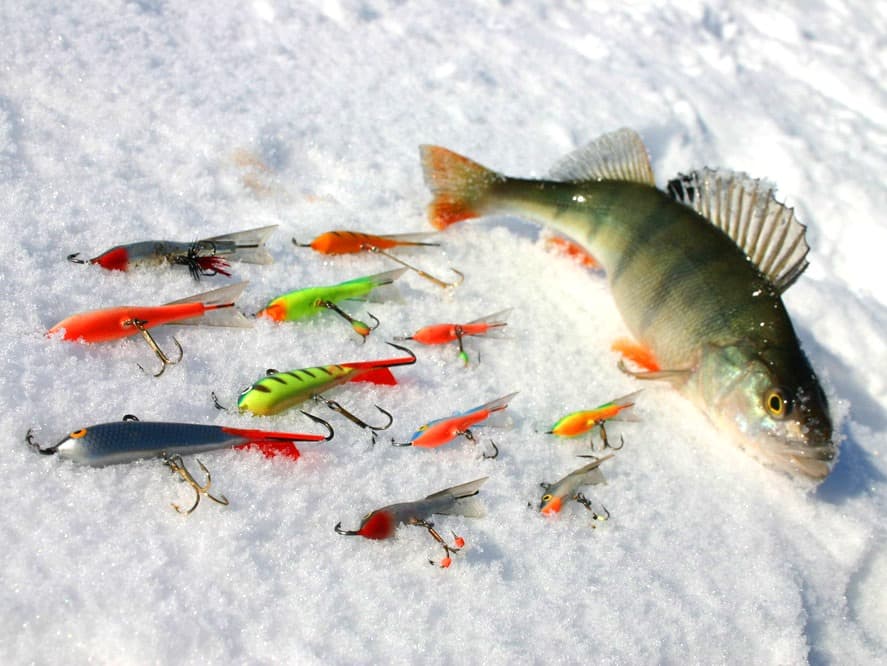 Ловля зимой со льда леща, судака, карася, окуня, рыбалка