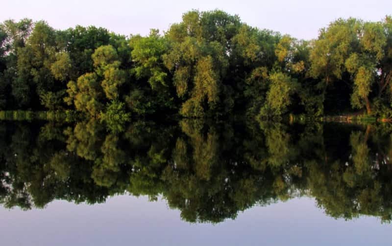 Уровень воды в Оке на сегодня
