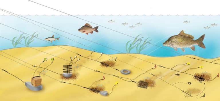 Ловля леща на течении снасти с берега и лодки