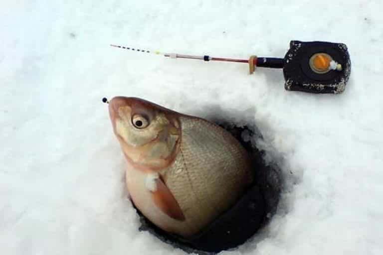 Кивок для зимней рыбалки на удочку своими руками арбалет