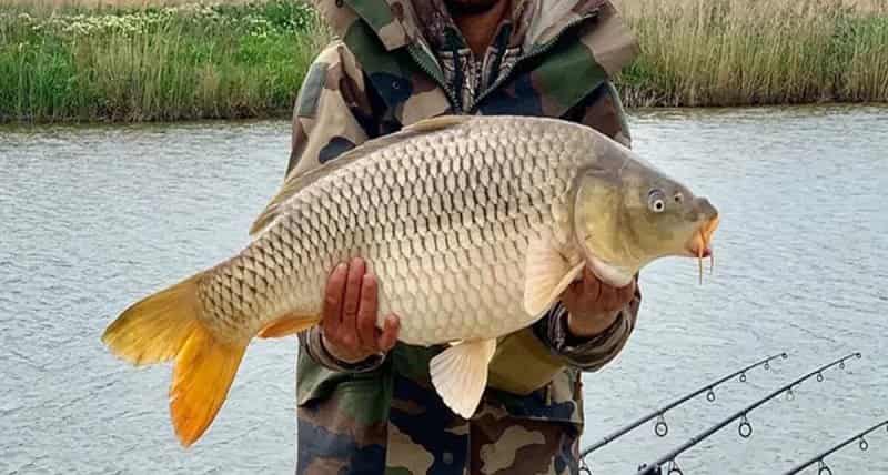 Прогноз клева рыбы в Старом Осколе на сегодня, завтра, неделю