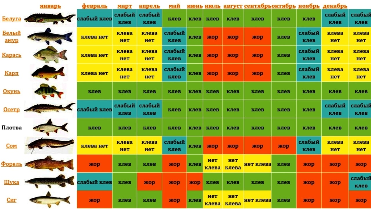 Календарь рыболова на год по дням и месяцам