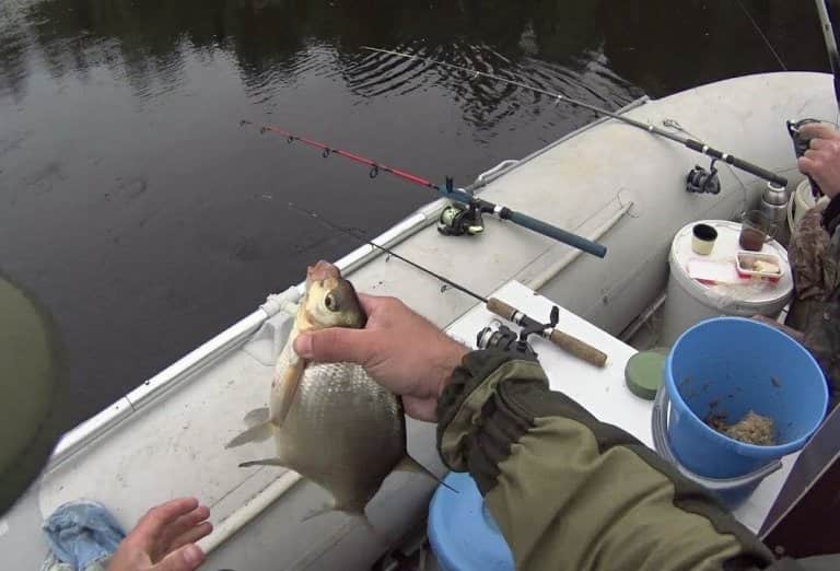 Снасти для ловли леща с лодки, описание, оснастка, советы