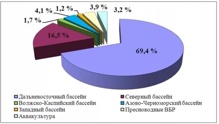 Правила любительской рыбалки