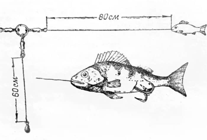 Монтаж донки на судака с берега. Оснастка спиннинга на судака