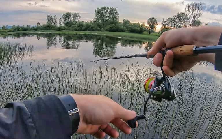Прогноз клева рыбы в Могилеве на сегодня, завтра и неделю