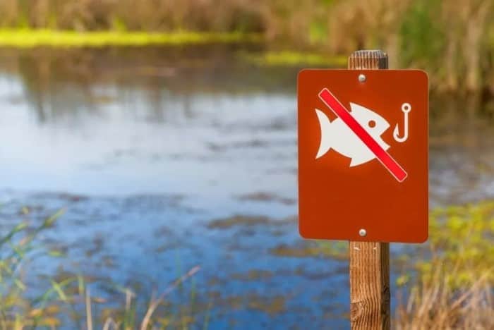 Где нельзя ловить рыбу