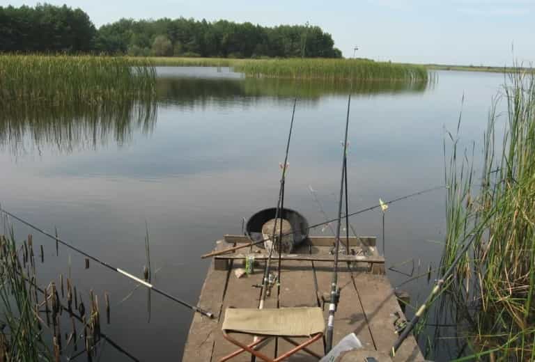 Прогноз клева в Витебске на Двине на 5 дней в районе и области