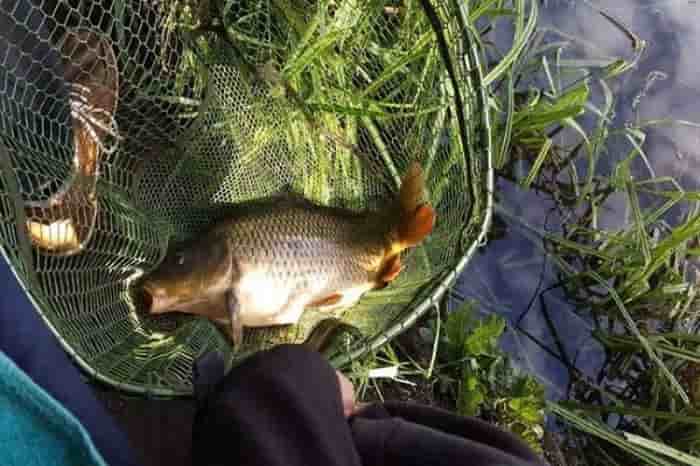 Прогноз клева рыбы в Белгородской области и Белгороде на 14 дней