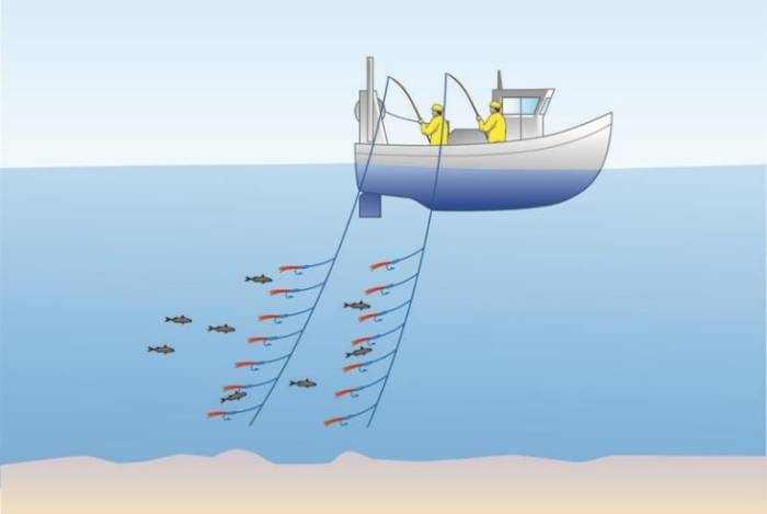 Троллинговая рыбалка для начинающих, техника ловли с лодки