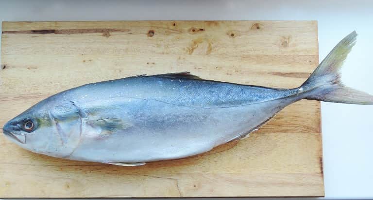 Что за рыба лакедра – как готовить, рецепты, отзывы, фото желтохвоста