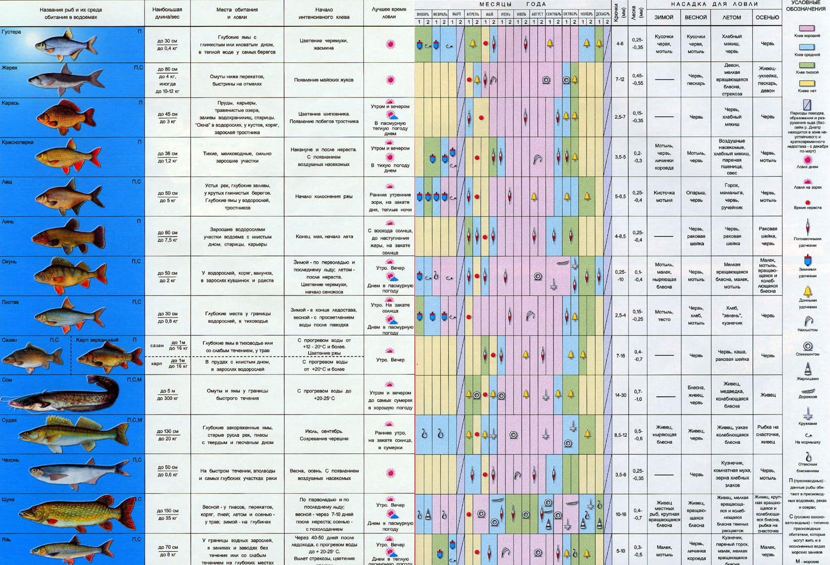 Календарь рыболова на год по дням и месяцам