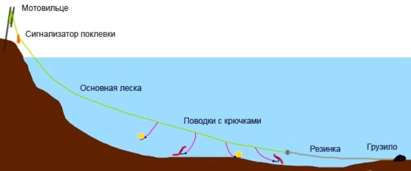 Ловля чехони на резинку, фото снасти, как ловить на резинку