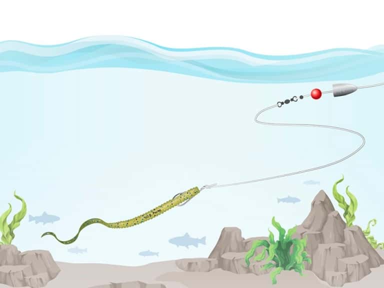 Каролинская оснастка для спиннинга на окуня, щуку, судака – монтаж