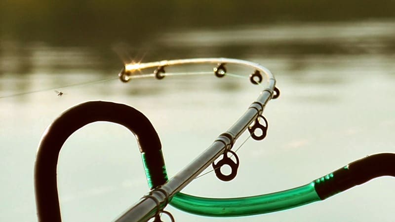 Лучший бюджетный фидер рейтинг ТОП 10