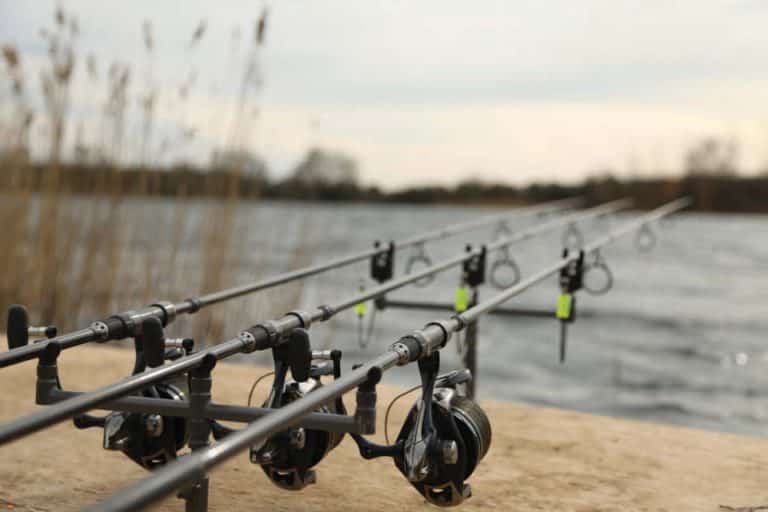 Лучшие карповые удилища для дальнего заброса ТОП 10 рейтинг